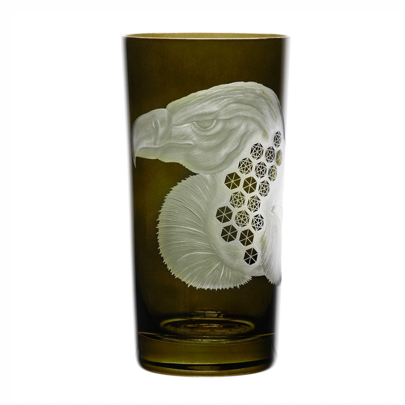 African Safari Vulture