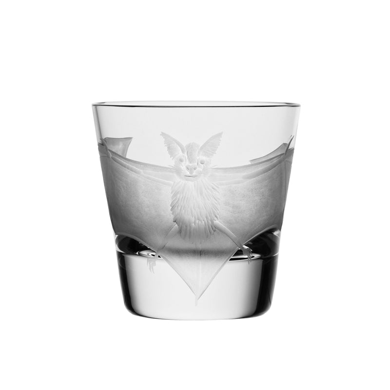 Cabinet of Curiosities Bat