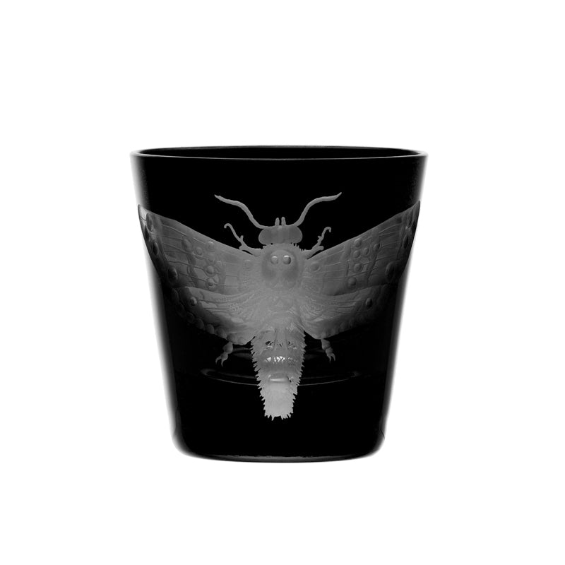 Cabinet of Curiosities Butterfly