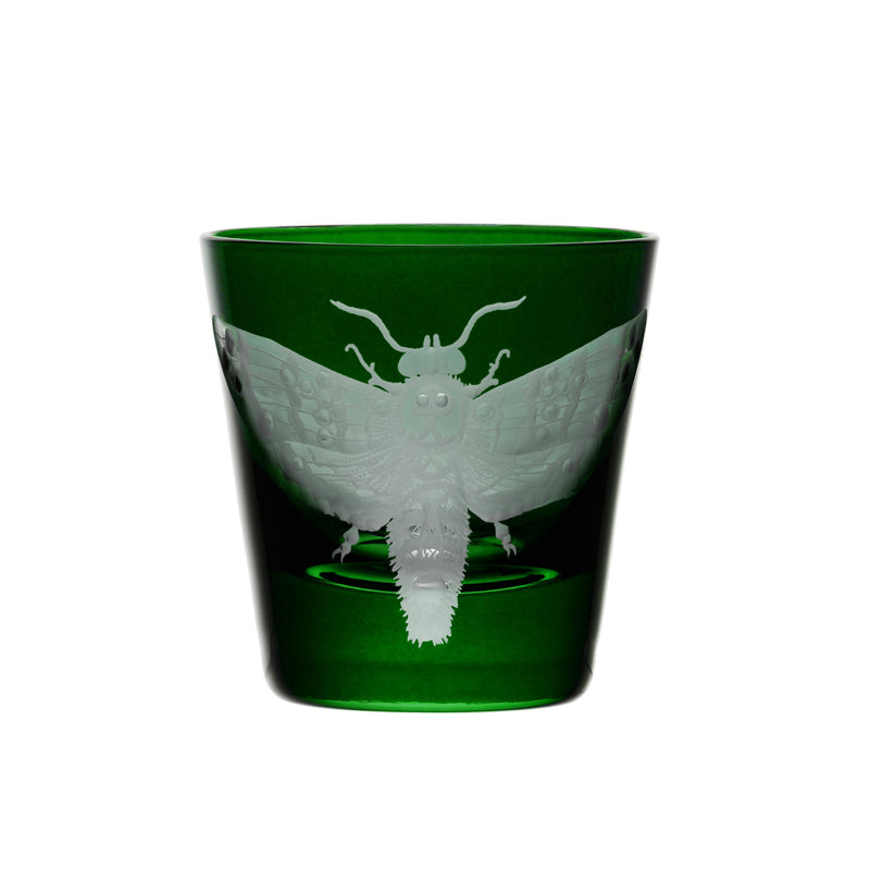 Cabinet of Curiosities Butterfly