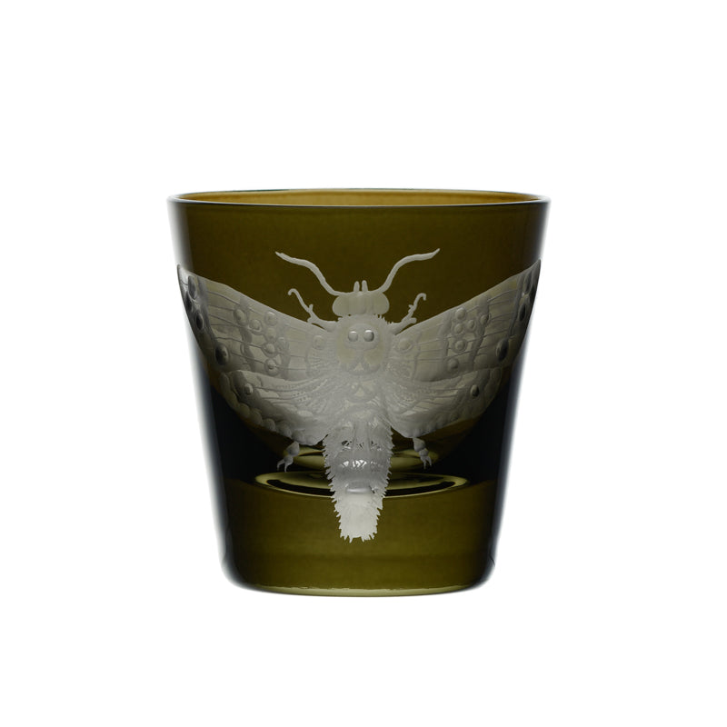 Cabinet of Curiosities Butterfly