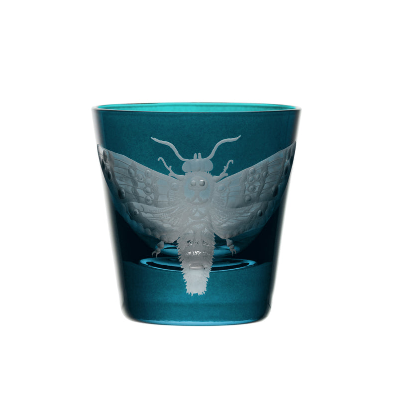 Cabinet of Curiosities Butterfly