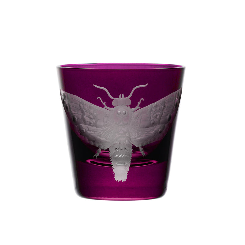 Cabinet of Curiosities Butterfly