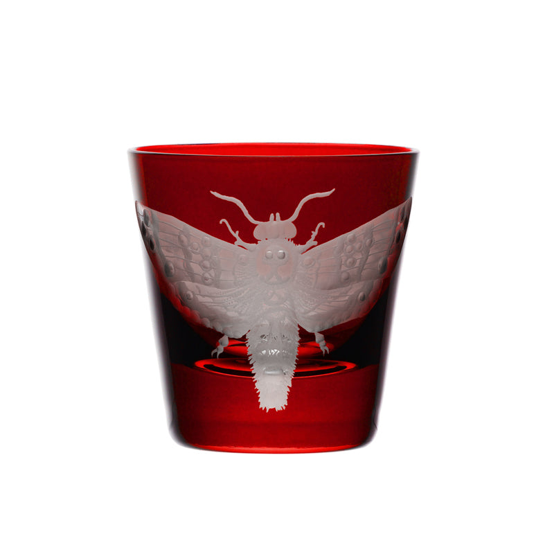 Cabinet of Curiosities Butterfly