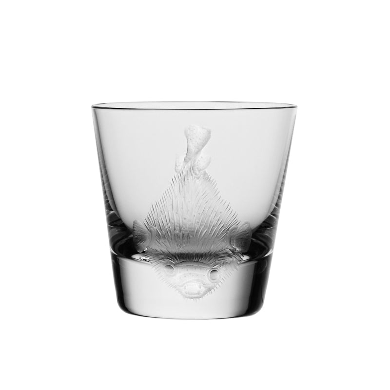 Cabinet of Curiosities Blowfish