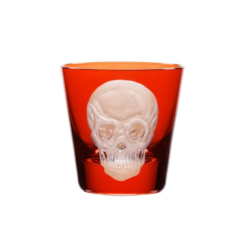 Cabinet of Curiosities Skull