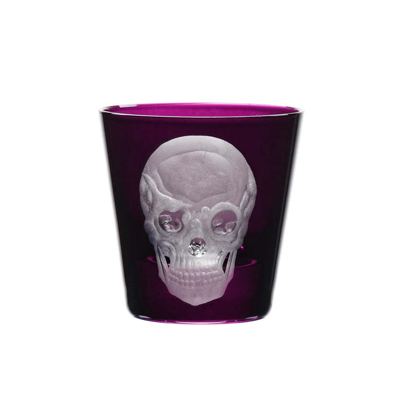 Cabinet of Curiosities Skull