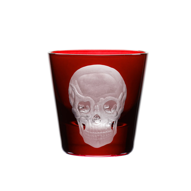 Cabinet of Curiosities Skull