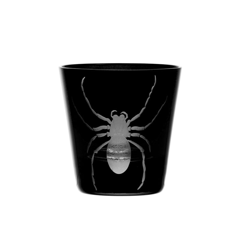 Cabinet of Curiosities Spider