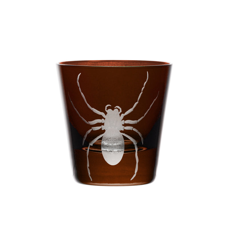 Cabinet of Curiosities Spider