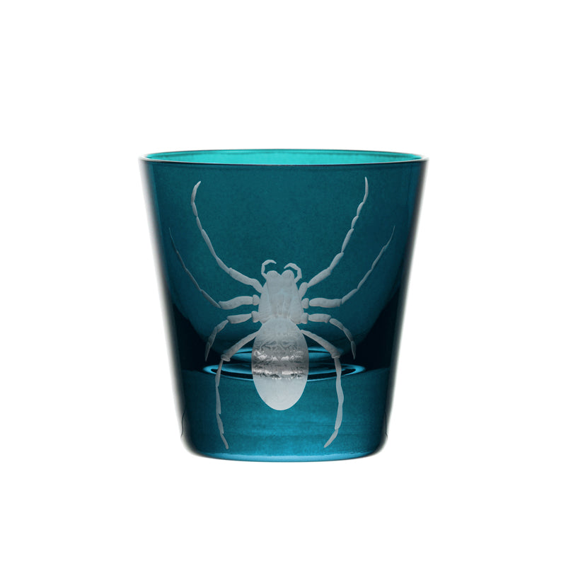 Cabinet of Curiosities Spider