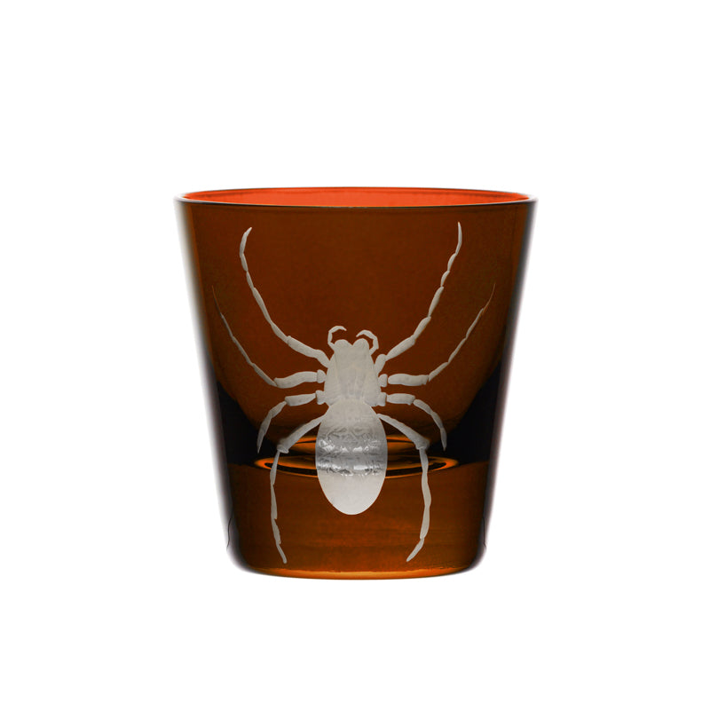 Cabinet of Curiosities Spider