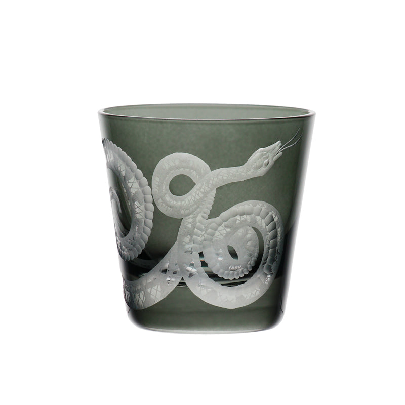 Cabinet of Curiosities Snake