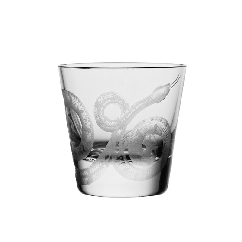 Cabinet of Curiosities Snake