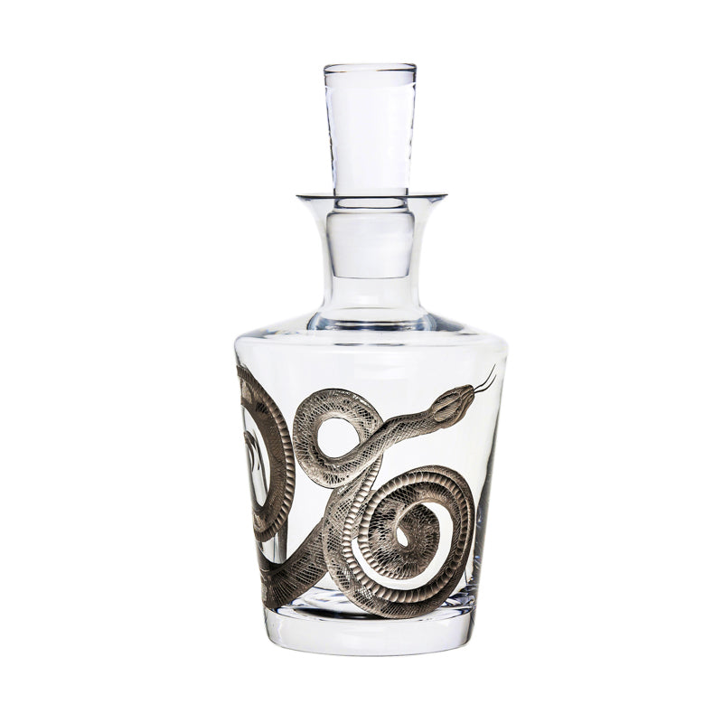 Cabinet of Curiosities Snake