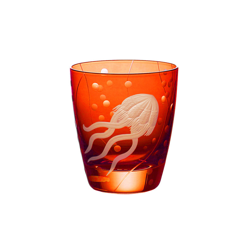 Sea Life Jellyfish