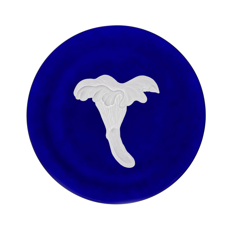 Mushrooms Chanterelle