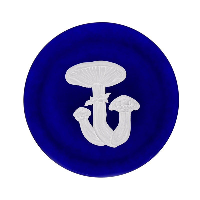 Mushrooms Honey Fungus