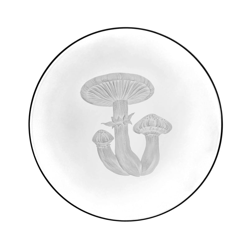 Mushrooms Honey Fungus