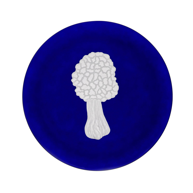 Mushrooms Morel