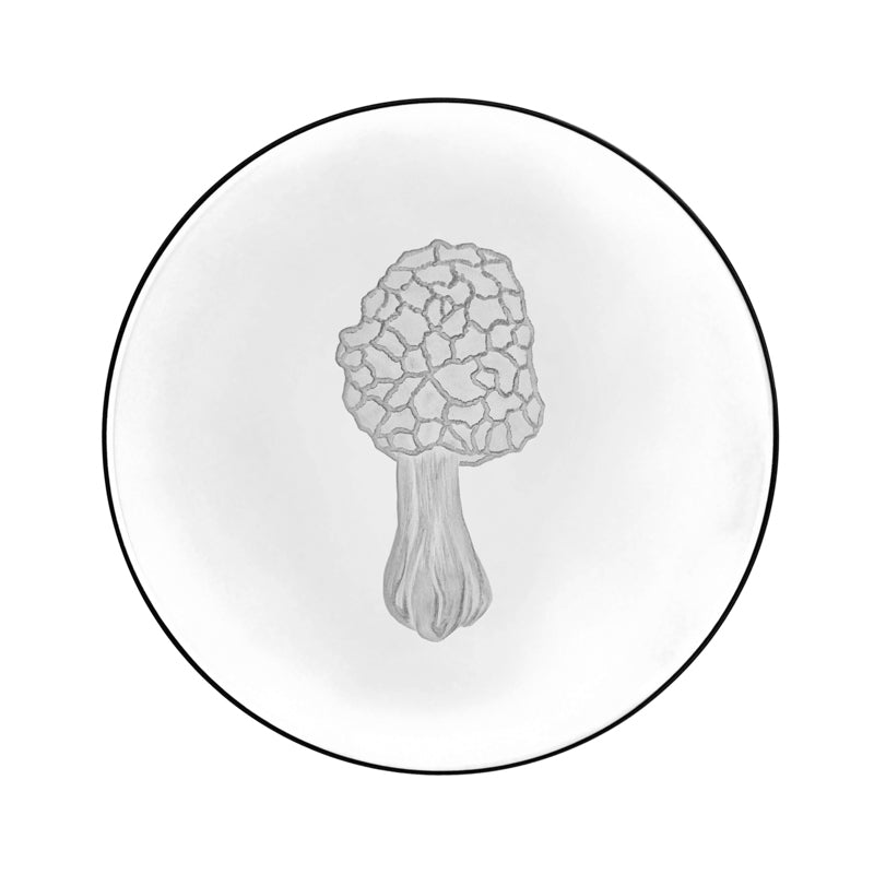 Mushrooms Morel