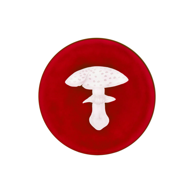 Mushrooms Fly Amanita