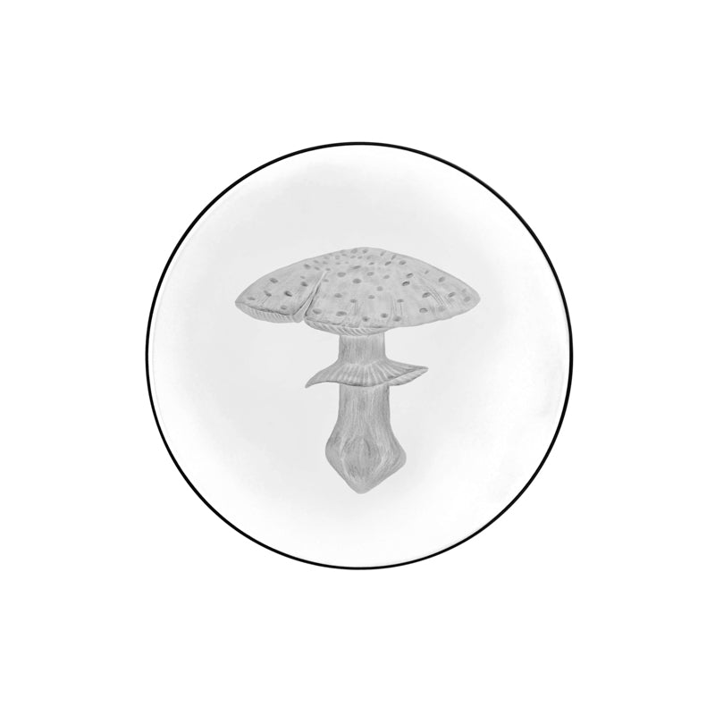 Mushrooms Fly Amanita