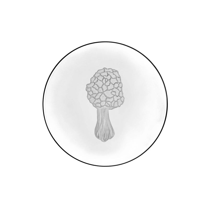Mushrooms Morel
