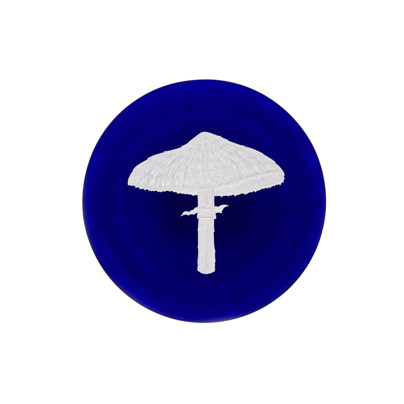 Mushrooms Parasol