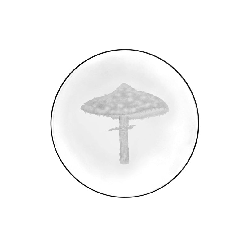 Mushrooms Parasol