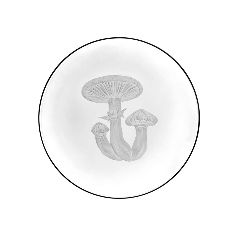 Mushrooms Honey Fungus