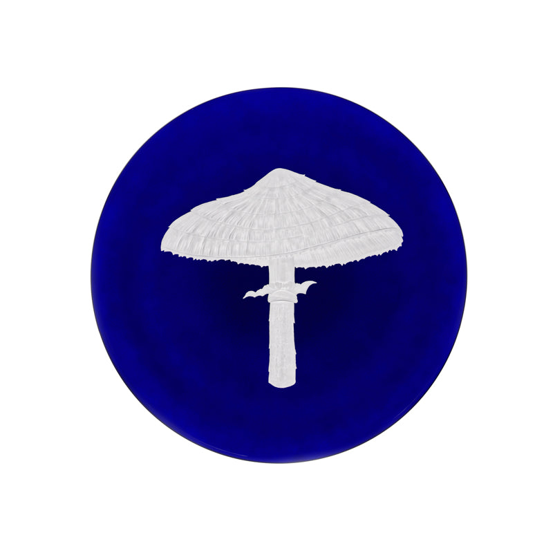 Mushrooms Parasol