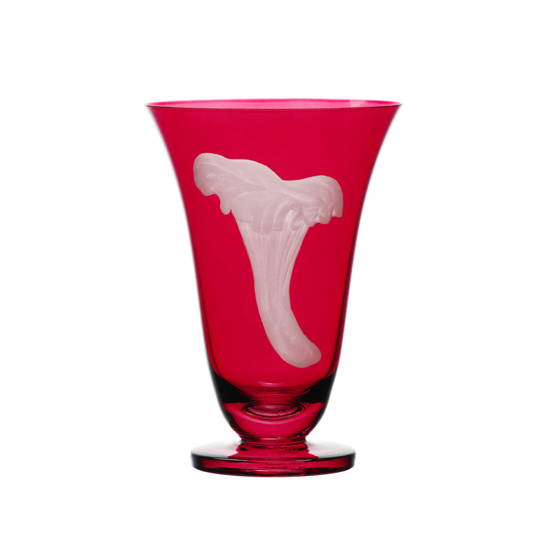 Mushrooms Chanterelle