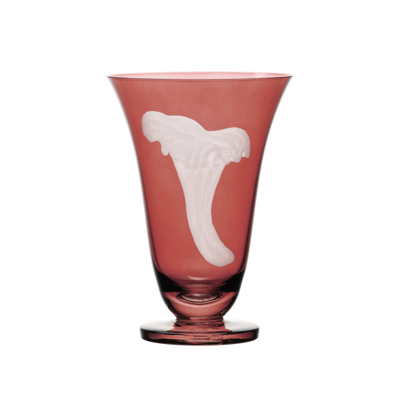 Mushrooms Chanterelle