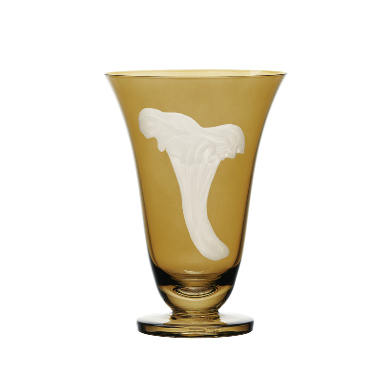 Mushrooms Chanterelle