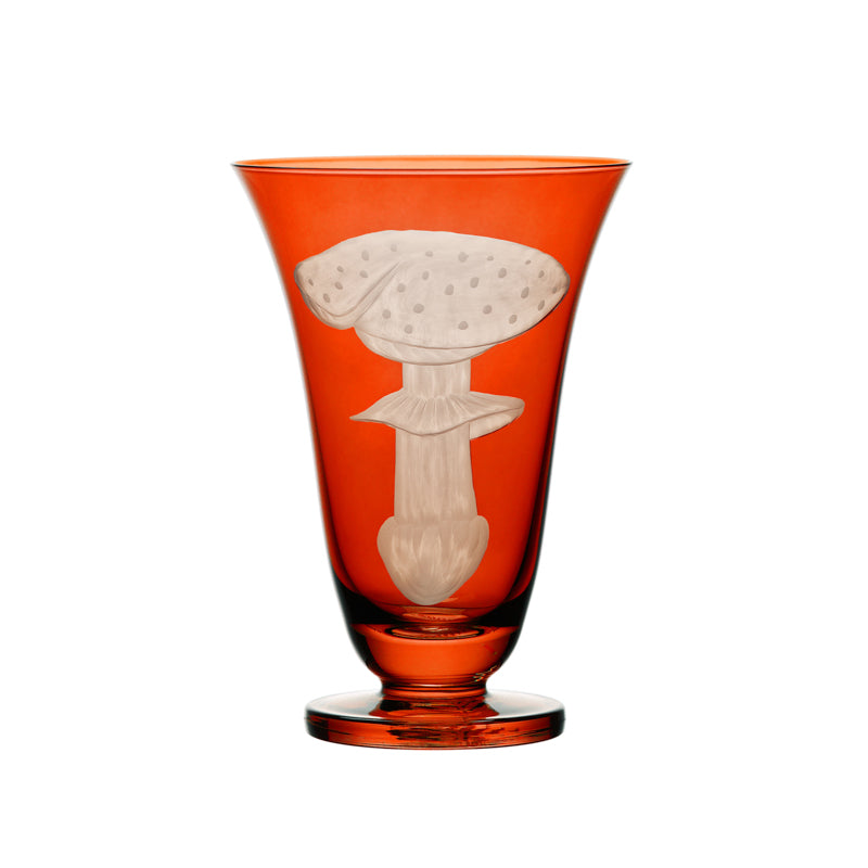 Mushrooms Fly Amanita