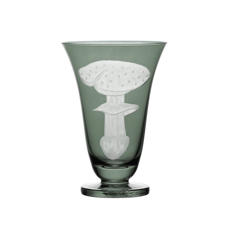 Mushrooms Fly Amanita