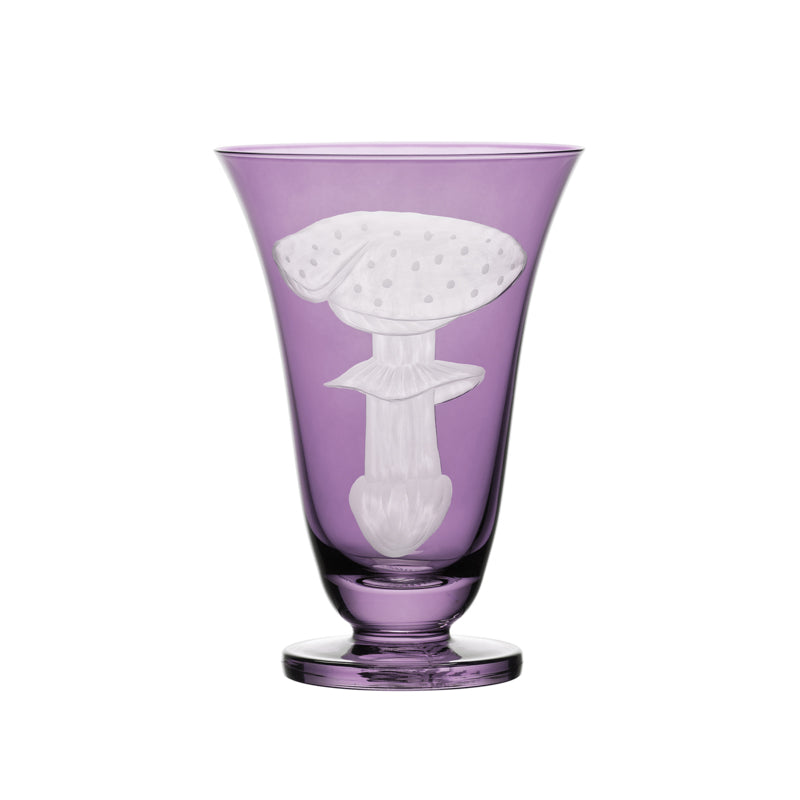 Mushrooms Fly Amanita