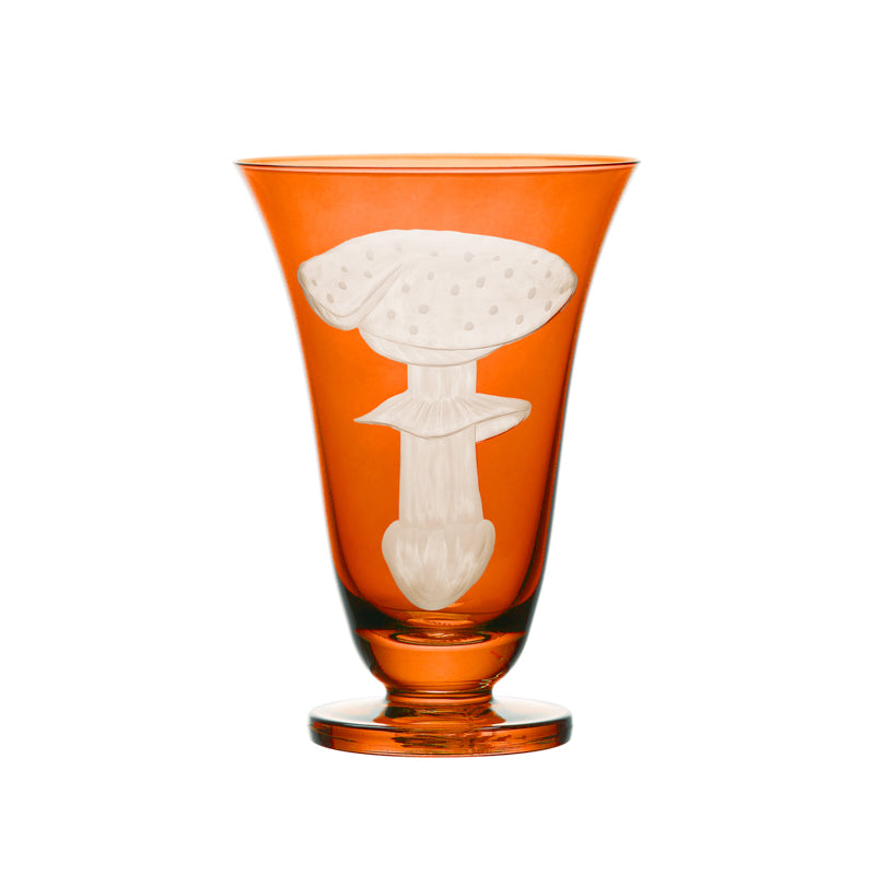 Mushrooms Fly Amanita