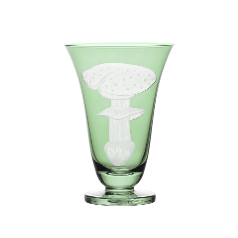 Mushrooms Fly Amanita