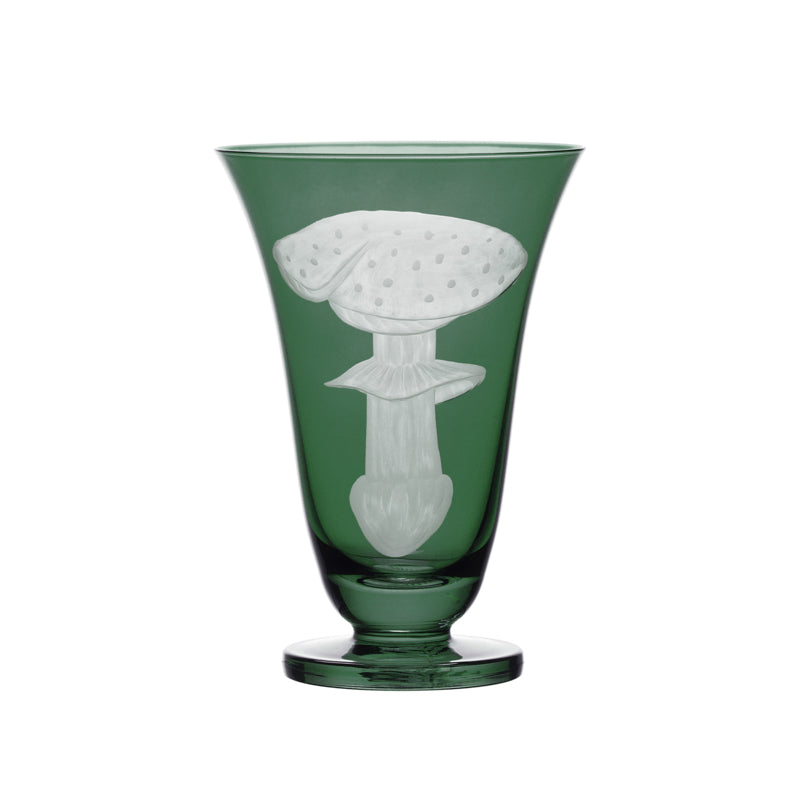 Mushrooms Fly Amanita