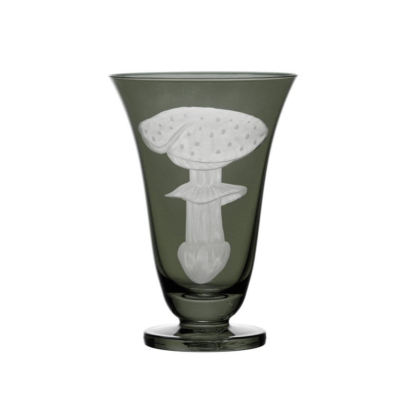 Mushrooms Fly Amanita