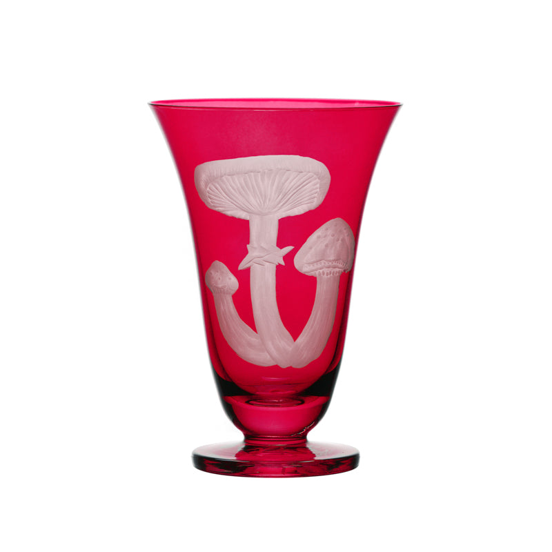 Mushrooms Honey Fungus