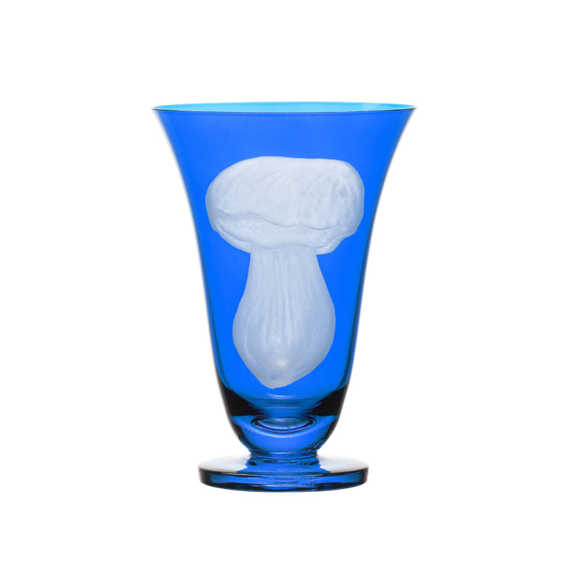 Mushrooms Summer Cep