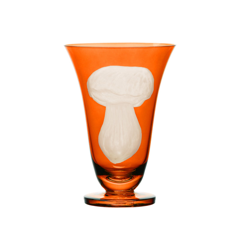 Mushrooms Summer Cep