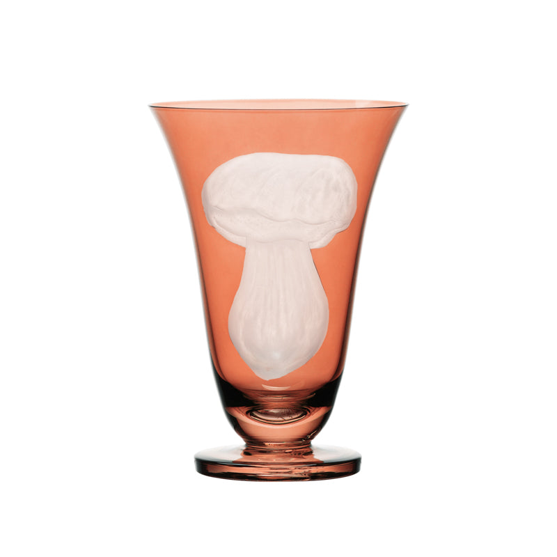 Mushrooms Summer Cep