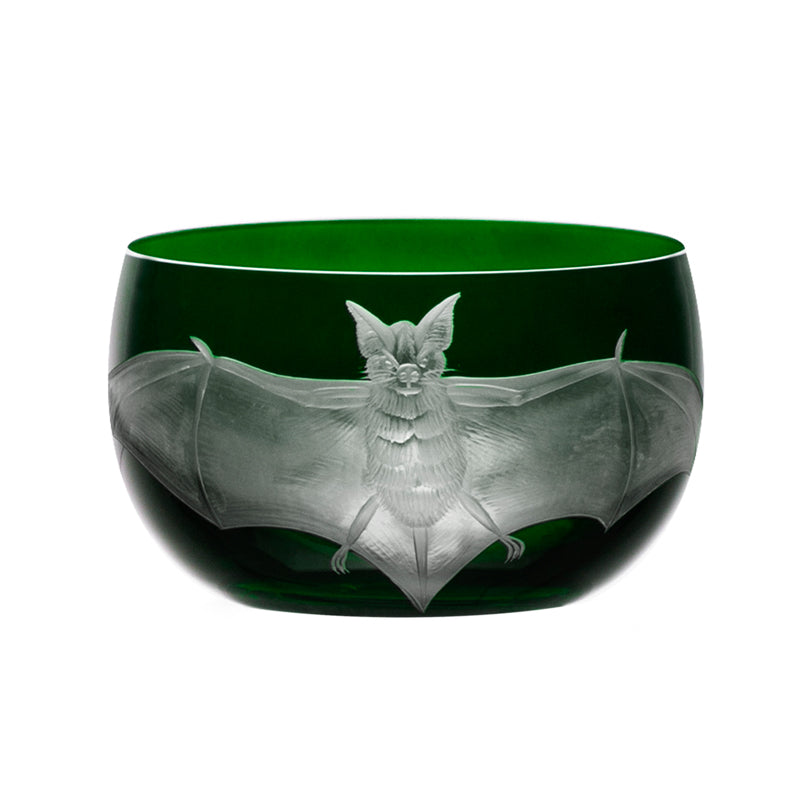 Cabinet of Curiosities Bat