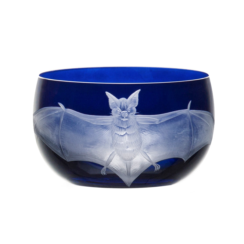 Cabinet of Curiosities Bat