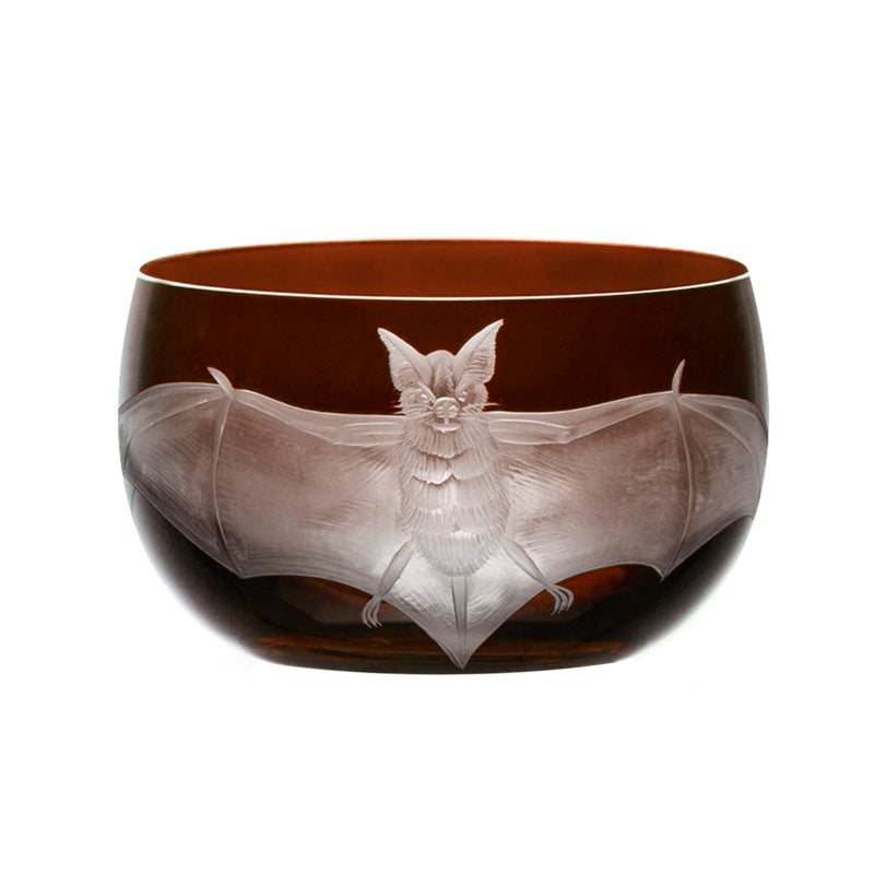 Cabinet of Curiosities Bat