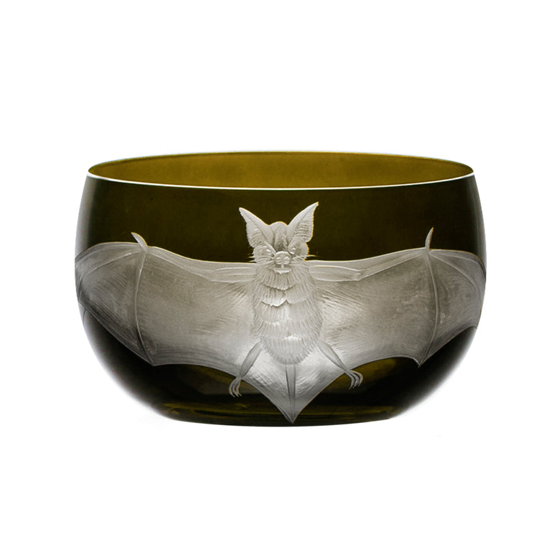Cabinet of Curiosities Bat